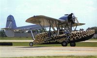 plane photo