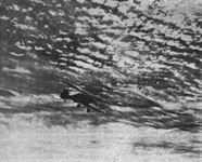 plane photo