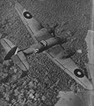 plane photo
