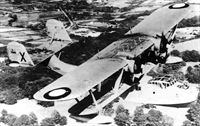 plane photo