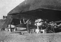 plane photo