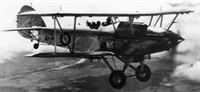 plane photo