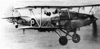 plane photo