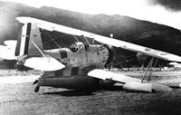 plane photo