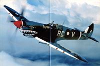 plane photo